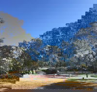Grenfell Endemic Garden - Tourism TAS