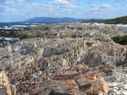 Hakea Walk Trail, East Fitzgerald National Park - Tourism TAS 1