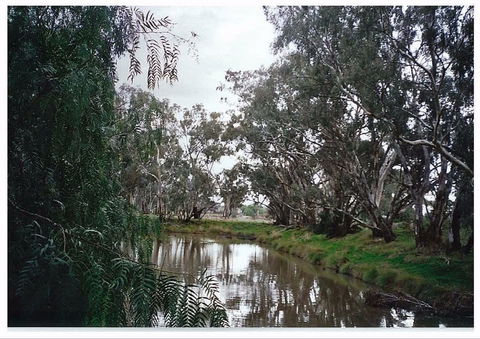 Henty Government Dam Nature Reserve - Tourism TAS 0
