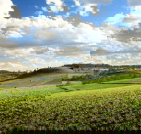 Hodgson Vale - Hobart Tourism