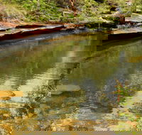 Hominy Creek Walking Track - Tourism TAS