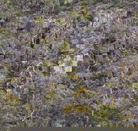 Horsnell Gully and Giles Conservation Parks - Tourism TAS