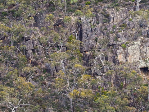 Horsnell Gully And Giles Conservation Parks - Hobart Tourism 0