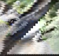 John Egan Pioneer Track - Hobart Tourism