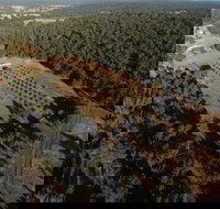 Julimar Date Garden - Tourism TAS