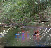 Kerewong State Forest - Tourism TAS