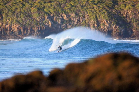 Killalea Reserve - Hobart Tourism 1