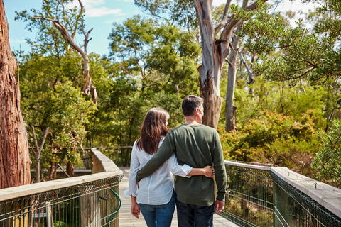 Koala Conservation Reserve - Tourism TAS 2