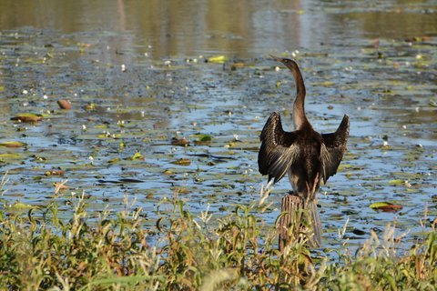 Lake Apex Park - Tourism TAS 0