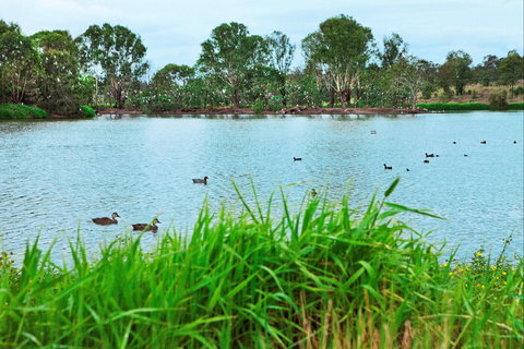 Lake Apex Park - Tourism TAS 1