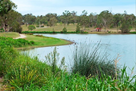Lake Apex Park - Tourism TAS 2