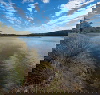 Lake Innes Nature Reserve - Tourism TAS