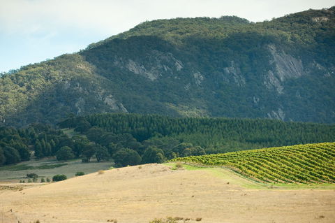 Langi Ghiran State Park - Hobart Tourism 0