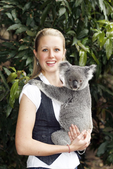 Lone Pine Koala Sanctuary - Hobart Tourism 1