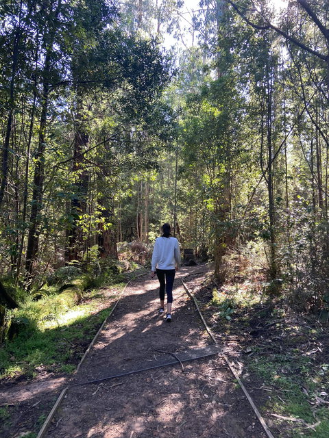 Lyrebird Circuit Walk - Tourism TAS 0