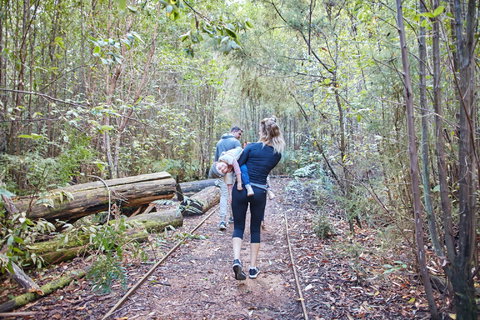 Lyrebird Circuit Walk - Tourism TAS 1