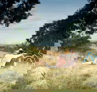 Lysterfield Park - Tourism TAS