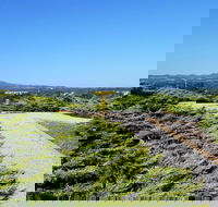 Mt Lindsay Rotary Park - Tourism TAS