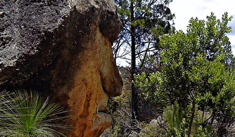 Mystery Face Walking Track - Tourism TAS 0