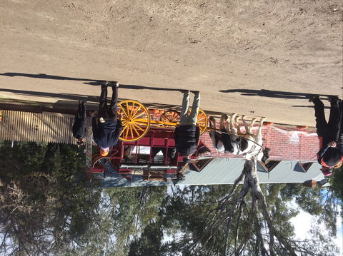 Nagambie Petanque Club Inc - Tourism TAS 1
