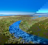 Noosa Everglades - Hobart Tourism