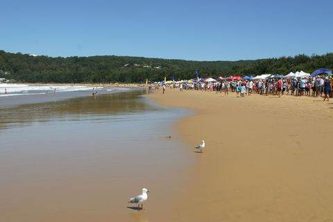 Ocean Beach Umina - Tourism TAS 0