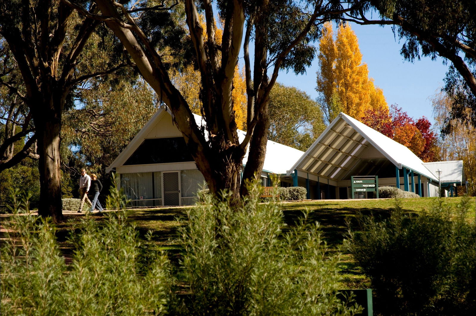 Orange NSW Tourism TAS