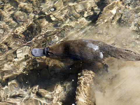 Orara River - Hobart Tourism 1