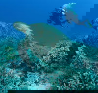 Pams Point - Tourism TAS