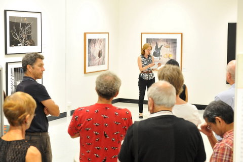 Pine Rivers Art Gallery - Tourism TAS 1