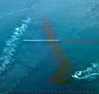 Port Noarlunga Reef Sanctuary Zone - Encounter Marine Park - Tourism TAS