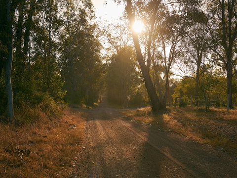 Raysource Road - Tourism TAS 1