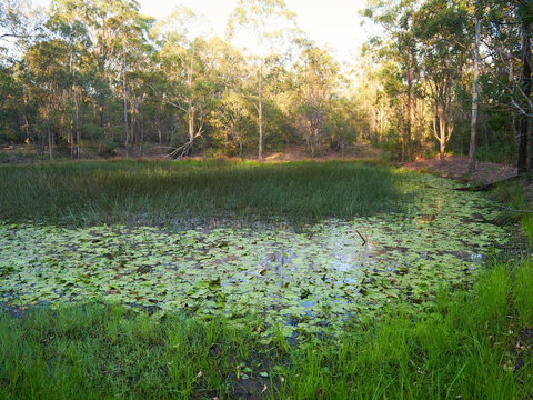 Raysource Road - Tourism TAS 2