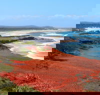 Red Cliff - Hobart Tourism