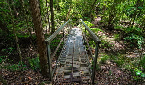 Rocky Crossing Walk - Tourism TAS 0