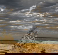 Rosebud Beach - Tourism TAS