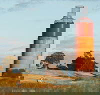 Rutherglen Wine Bottle - Hobart Tourism