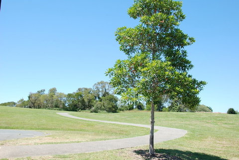 Samford Valley Rail Trail - Tourism TAS 2