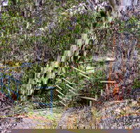 Sawpit Walking Track - Hobart Tourism