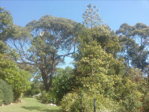 Shoalhaven Heads Native Botanic Garden - Tourism TAS 1