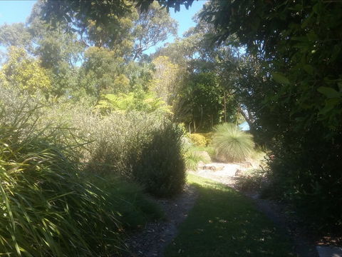 Shoalhaven Heads Native Botanic Garden - Tourism TAS 2