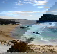 Snorkelling Mystery Bay - Tourism TAS
