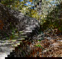 Starlights Trail - Hobart Tourism