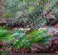 Sugar Creek Picnic Area - Tourism TAS