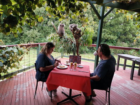 The Aussie Stop Offering Breakfast With Koalas - Tourism TAS 0