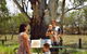 The Big Tree - thumb 1