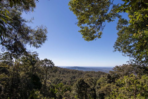 Thylogale Track - Hobart Tourism 2