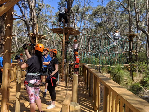 Trees Adventure - Yanchep Park - Hobart Tourism 0