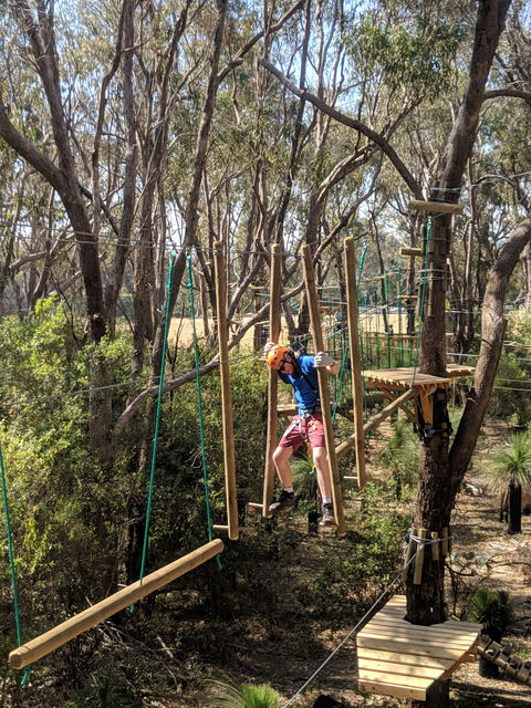 Trees Adventure - Yanchep Park - Hobart Tourism 1