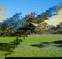 Tunks Hill picnic area - Tourism TAS